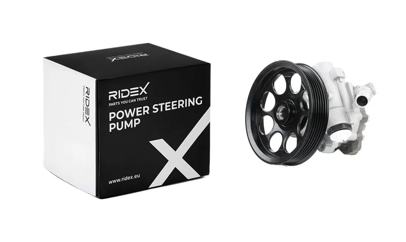 Servopump RIDEX 12H0119