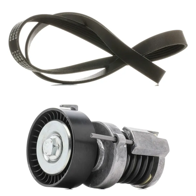 Drivremssats RIDEX PLUS 542R1019P