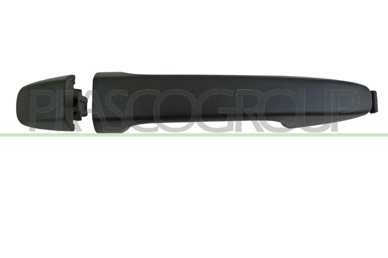 Dörrhandtag PRASCO TY0508003