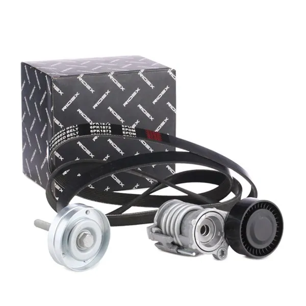 Drivremssats RIDEX 542R0225