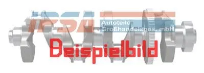 Vevaxel IPSA ck015300