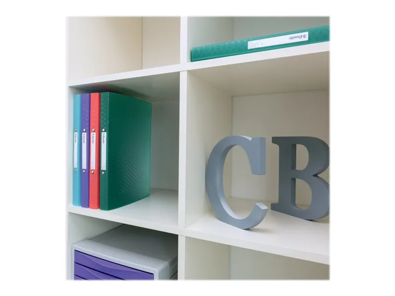 Esselte Colour’Breeze 2-Ring Binder Green
