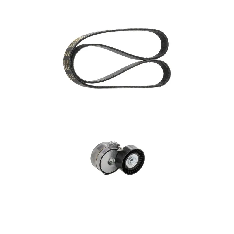 Drivremssats RIDEX PLUS 542R1268P