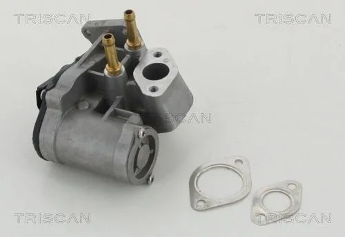 EGR-ventil TRISCAN 8813 29017