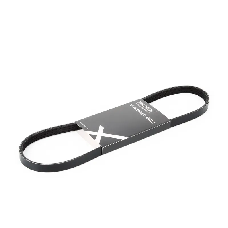 RIDEX 305P0012 Multirem