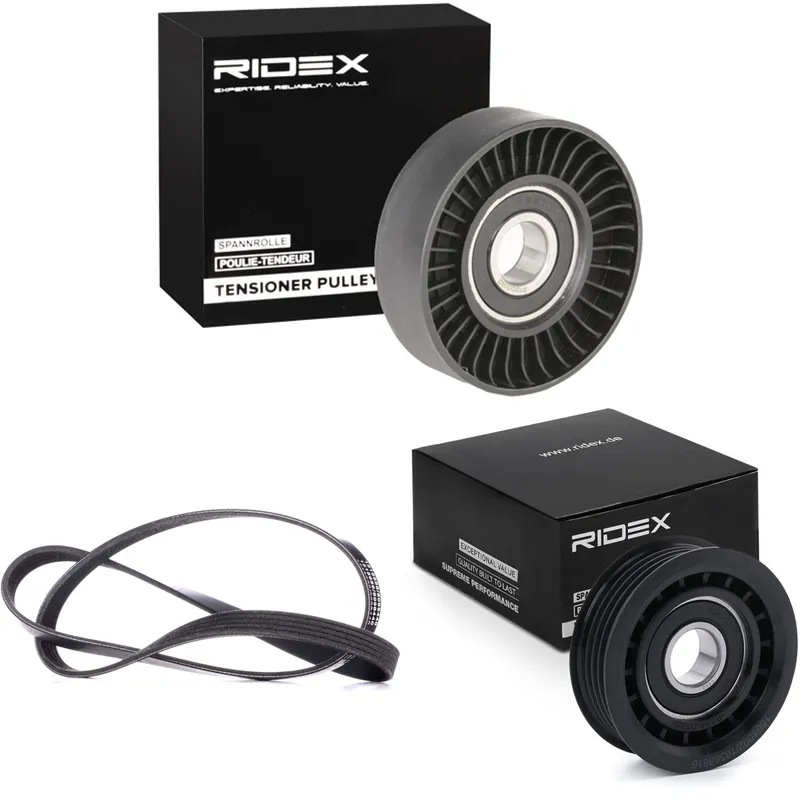 Drivremssats RIDEX 542R0800
