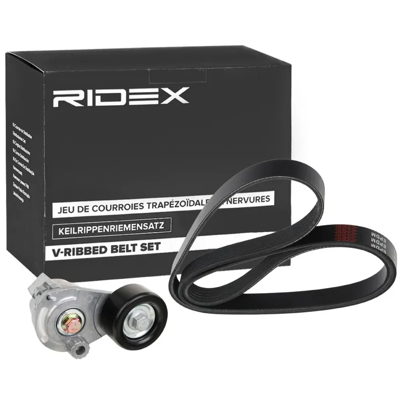 Drivremssats RIDEX 542R0680