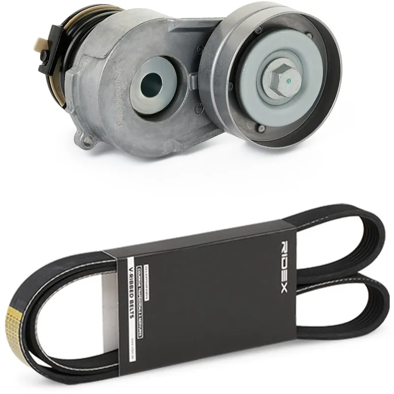 Drivremssats RIDEX 542R0792