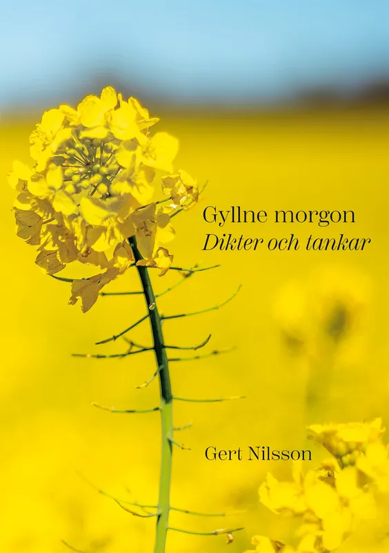 Gyllne morgon: Dikter och tankar, E-bok