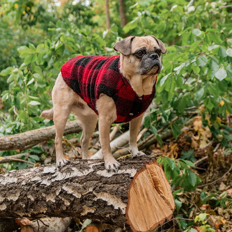 FuzzYard The Lumberjack Hundjacka Röd/Svart