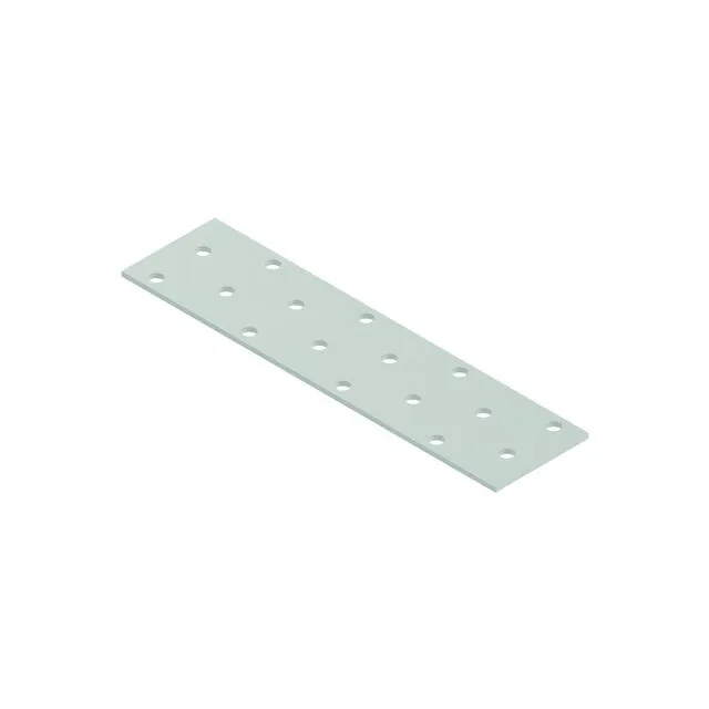 HÅLPLATTA EFZ 160X40X2,0 RAPTOR 100ST | Beijerbygg Byggmaterial