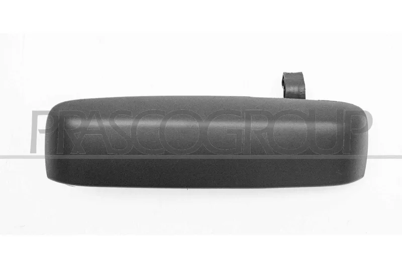 Dörrhandtag PRASCO FT3508003