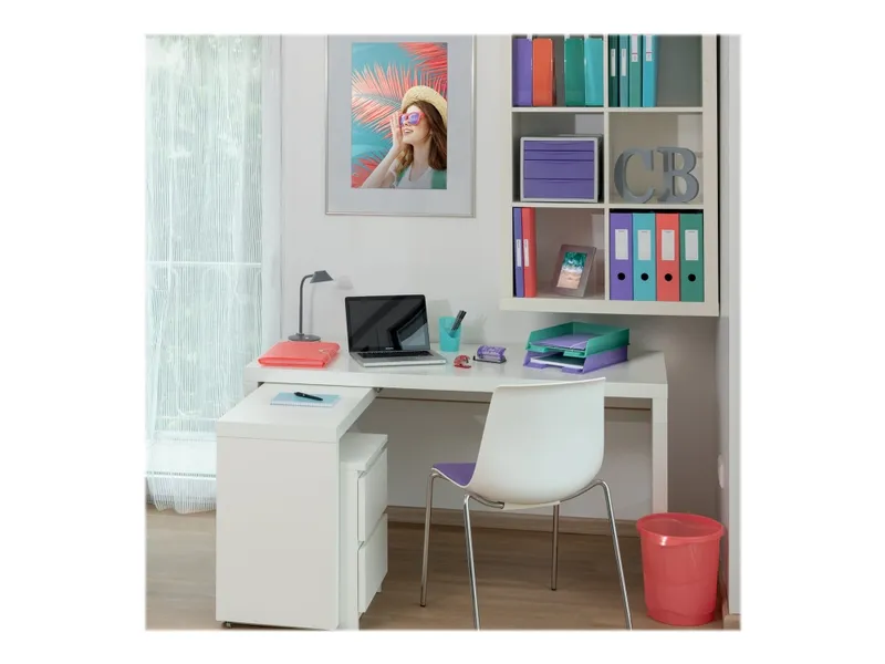 Esselte Colour’Breeze extra kapacitet arkivbox Korall