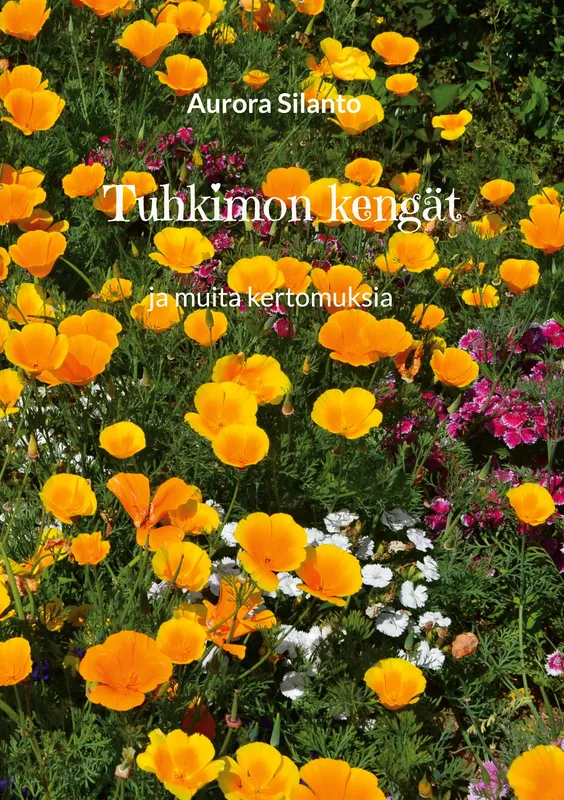 Tuhkimon kengät: ja muita kertomuksia, E-bok