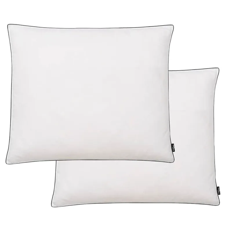 vidaXL Kuddar 2 st dun-/fjäderstoppning lätt 70×60 cm vit
