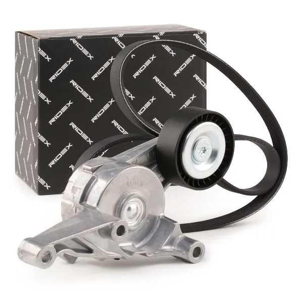 Drivremssats RIDEX 542R0115