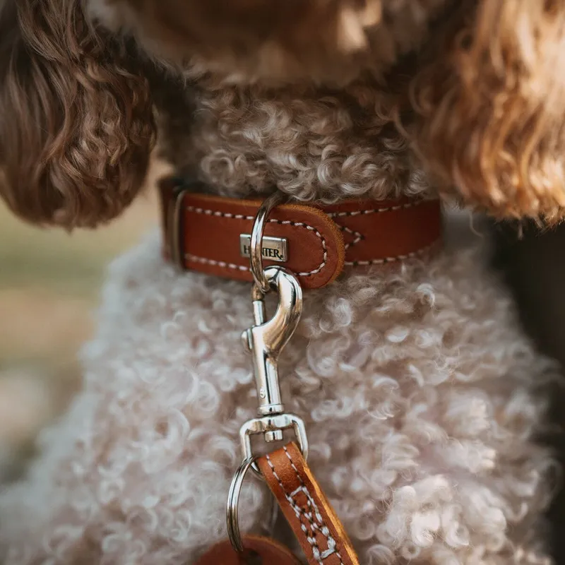 Hunter Aalborg Special Hundhalsband Brun (#2612)