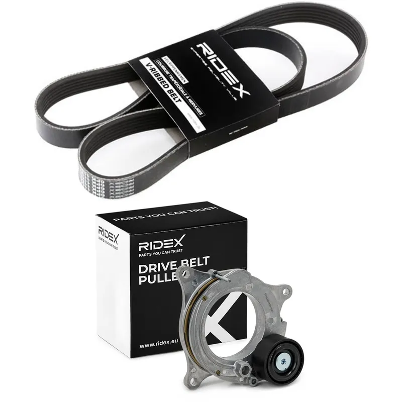 Drivremssats RIDEX 542R1228