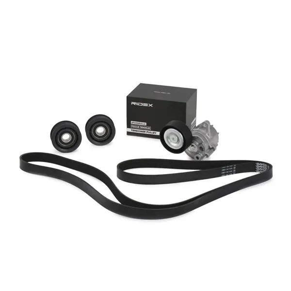 Drivremssats RIDEX 542R0043