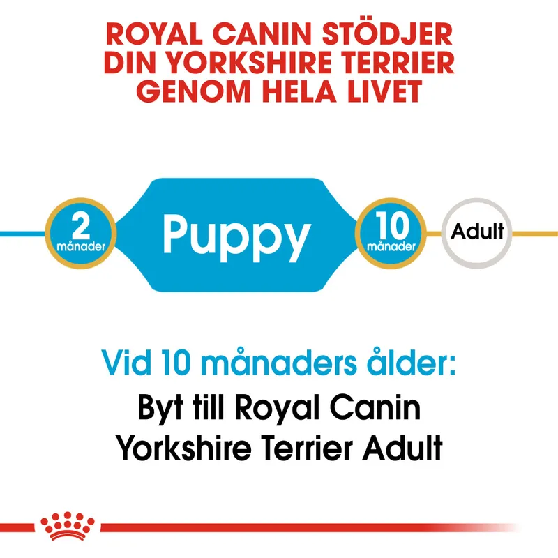 Yorkshire Terrier Puppy Torrfoder för hundvalp - 1,5 kg