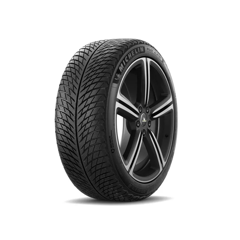 Michelin Pilot Alpin 5 ( 255/70 R18 116V XL EV Suitable, SUV )