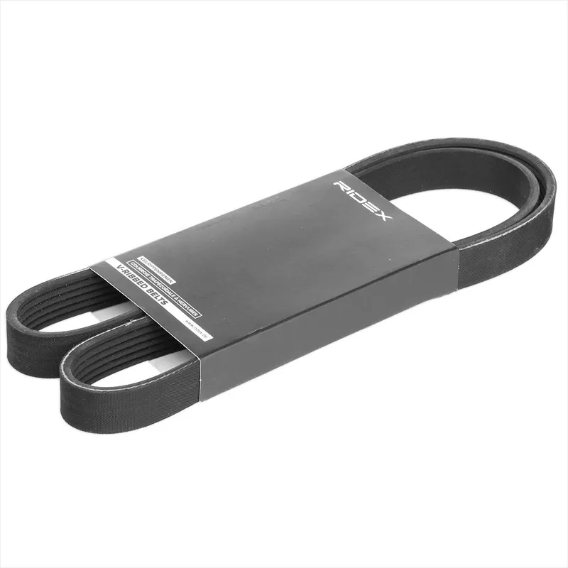 Multirem RIDEX 305P0501