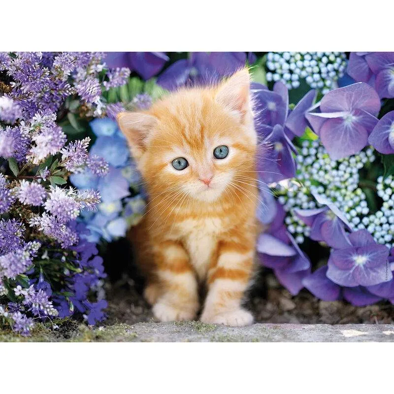 Pussel med ingefärakatt i blommor 500 bitar