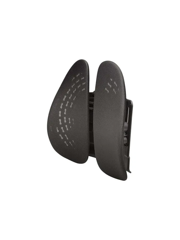Ryggstöd KENSINGTON Smartfit Conform