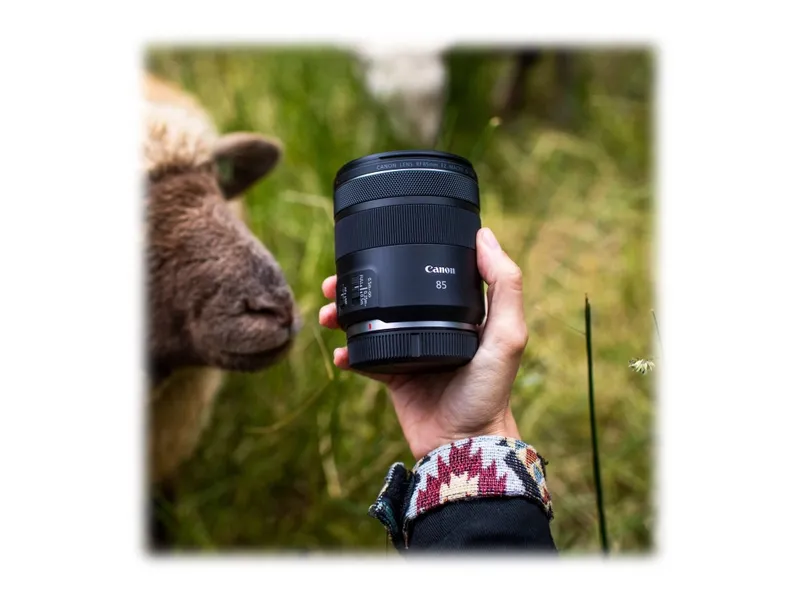 Canon RF – Teleobjektiv – 85 mm – f/2.0 Macro IS STM – Canon RF – för EOS RF Mount