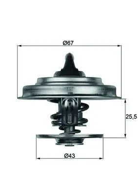 MAHLE TX 18 75 Termostat, kylvätska