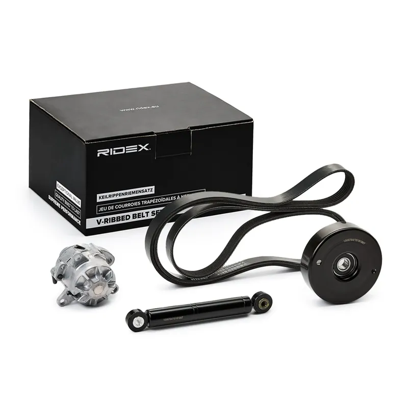 Drivremssats RIDEX 542R0350