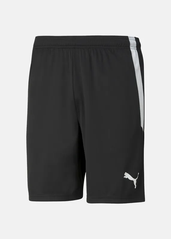 teamLIGA Shorts