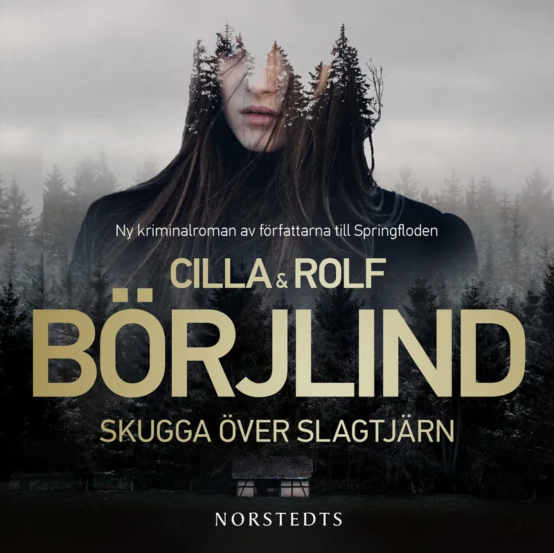 Skugga över Slagtjärn, Ljudbok