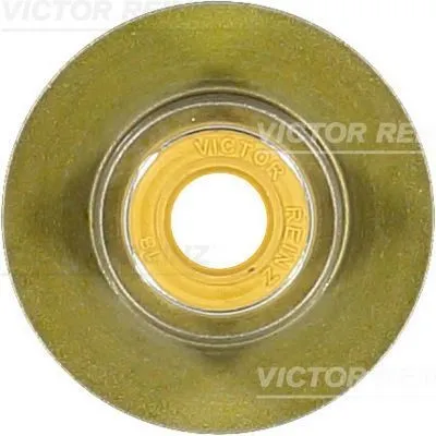 Ventiltätning REINZ 70-40336-00