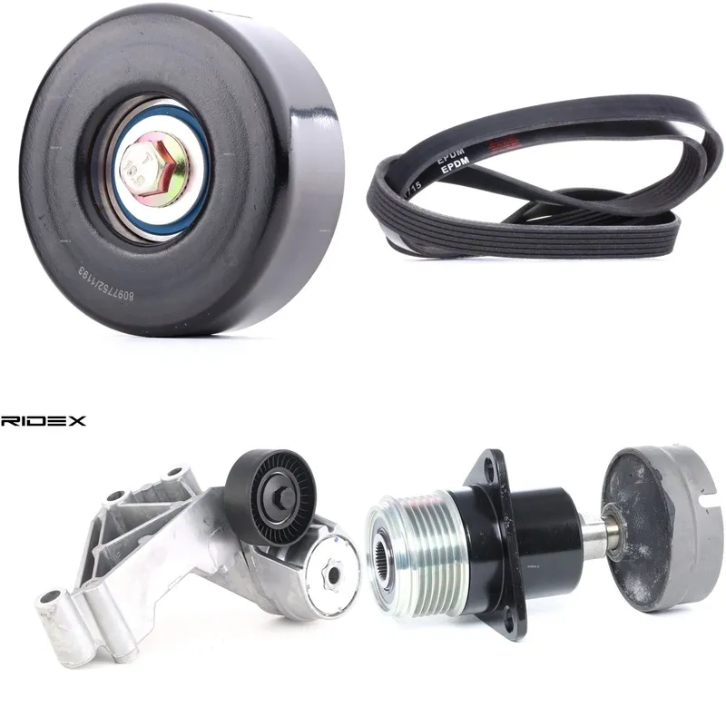 RIDEX 542R0361 Drivremssats
