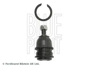 Spindelled BLUE PRINT ADG08603