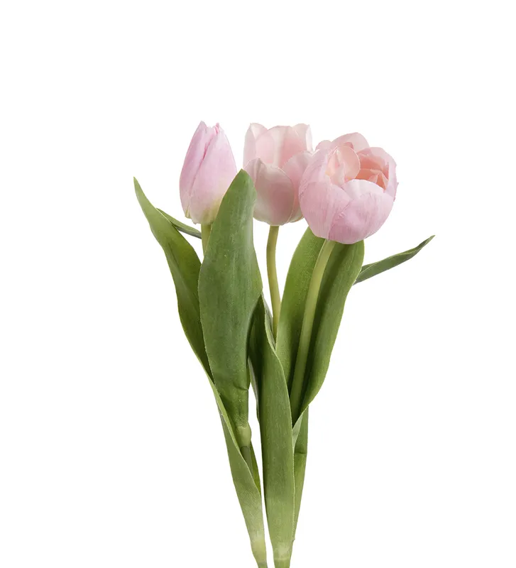 Tulpan Mix 3st Ljus Rosa – 36 cm