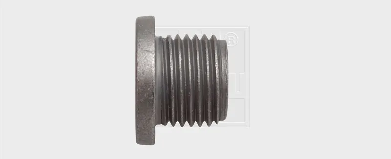 Oljeplugg SWGAutomotive 24300102016