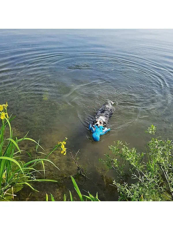 Vattenleksak Bläckfisk XL för hund - Flytande Bläckfisk