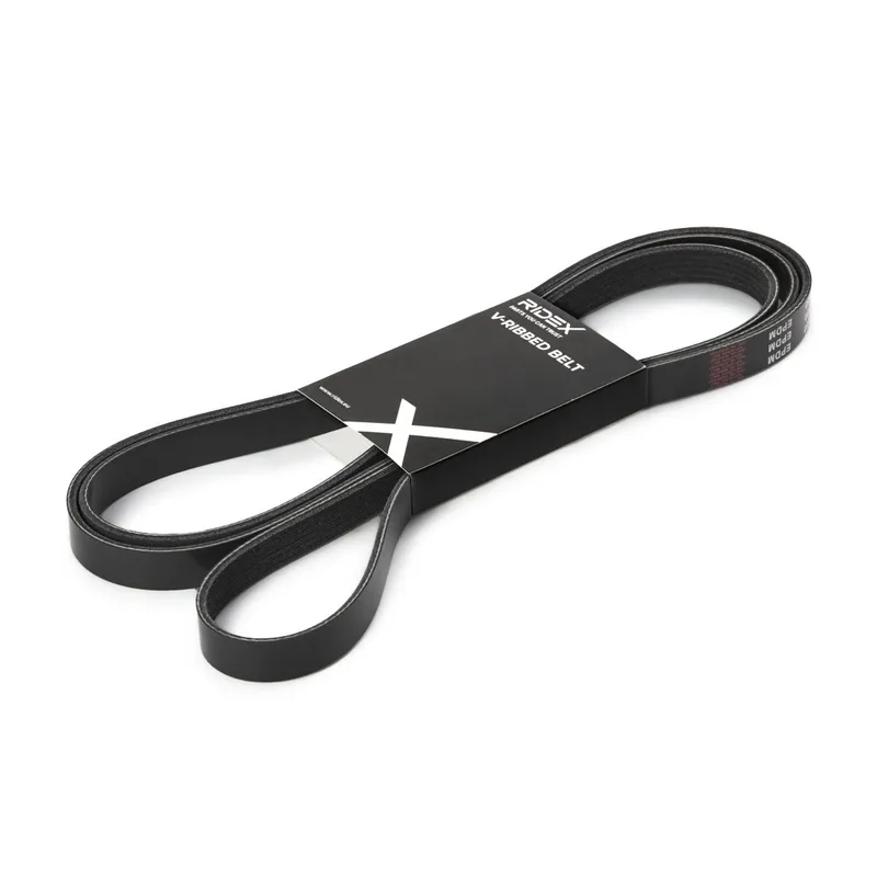 Multirem RIDEX 305P0303