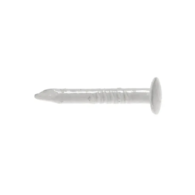 TELEFONSPIK VITLACK NCS 0502-Y RUND LÅGKULLIG 1,4X12MM 100ST | Beijerbygg Byggmaterial