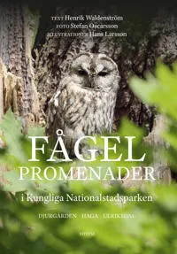 Fågelpromenader i Kungliga Nationalstadsparken