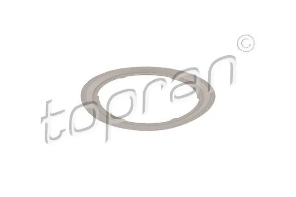 Packning EGR-ventil TOPRAN 305 143