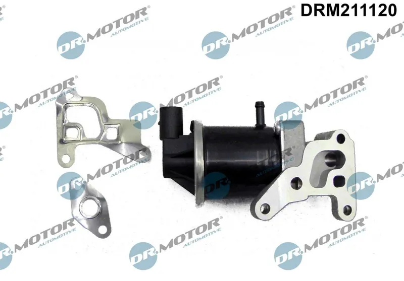 Egr-Ventil Dr.motor Automotive DRM211120