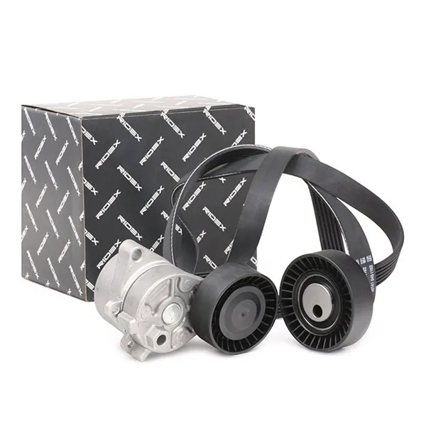 Drivremssats RIDEX 542R0198