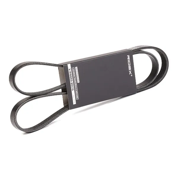 Multirem RIDEX 305P0174