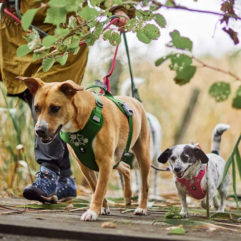 Weekend Warrior Hundsele - 100 - 120 cm / Ruby