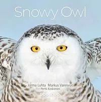 Snowy Owl - A Year in the Life