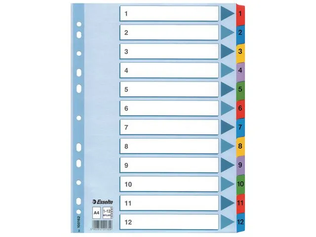 Esselte Register Mylar A4/1-12 multifärgat