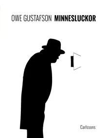 Minnesluckor